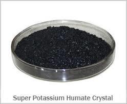 Humic Acid Powder Soil Application