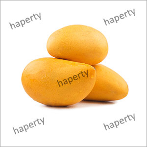 Fresh Kesar Mango By HAPERTY