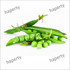 Fresh Green Peas By HAPERTY