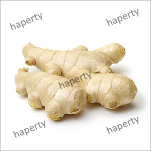 Fresh Ginger