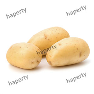 Fresh Potato