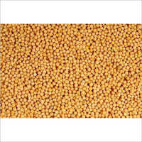 Natural Yellow Mustard Seed