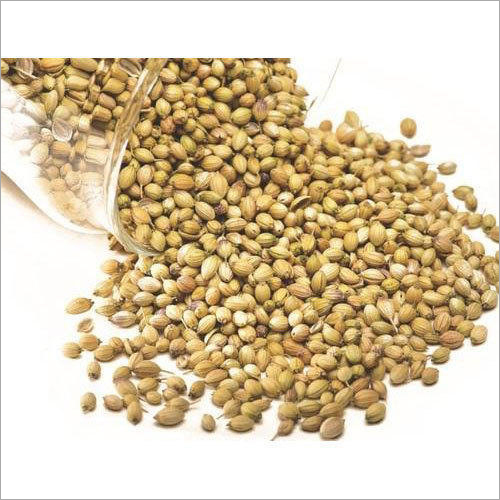 Coriander Seed