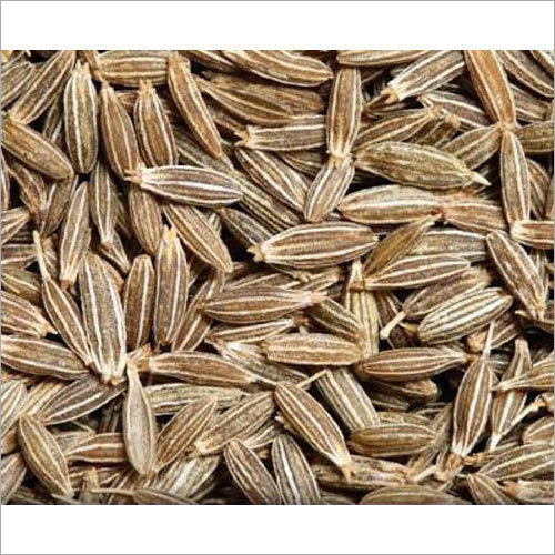 Raw Cumin Seed
