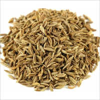 White Cumin Seeds