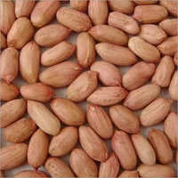 Peanut Seeds - Organic, Size: Natural | Grade A, Unadulterated, Versatile Nutritional Enhancer For Snacks And Cooking Applications
