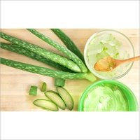 Aloe Vera Oil