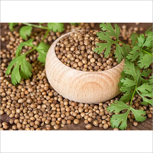 Coriander Seeds By GINNI & SONS
