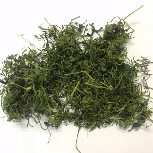 Five Leaf Pentaphyllum Gynostemma Tea Natural Drying Jiaogulan Leaf Herb Tea Gynostemma Pentaphyllum