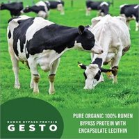 Rumen Bypass Protein