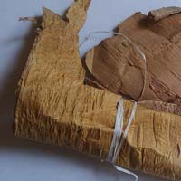 SARAP GANDHA EXTRACT