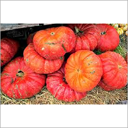 Red Pumpkins