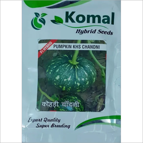 Agriculture Practice Pumpkin Hybrid Seeds