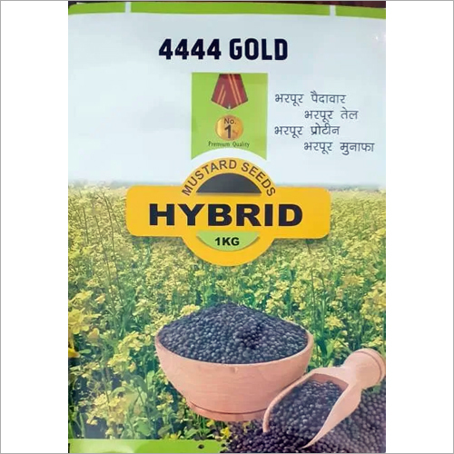 1 Kg Mustard Seeds - 500 Grams, Agriculture Practice Grade Food, Hybrid 1, Purity Up to 99%, 01 Year Shelf Life, Vegetable Seeds