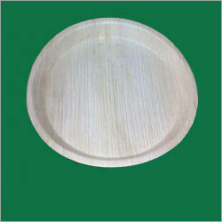Buffet Disposable Plate Application: All Food Festival