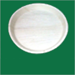 10 Inch Disposable Plate Application: All Food Festival