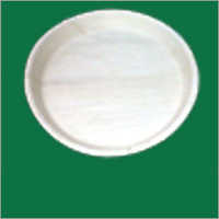 10 Inch Disposable Plate