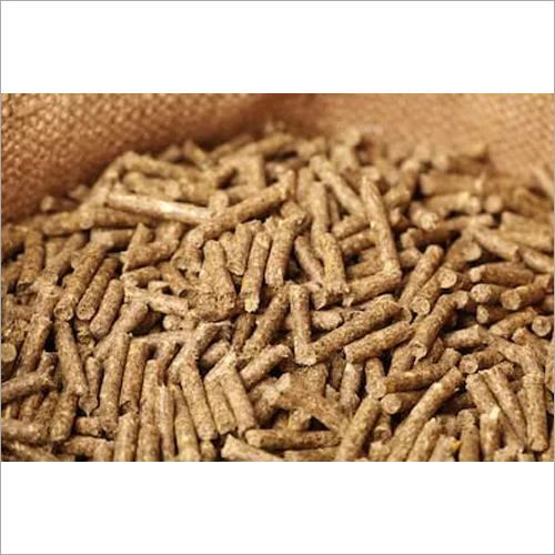 Rabbit Cattle Feed Application: Water