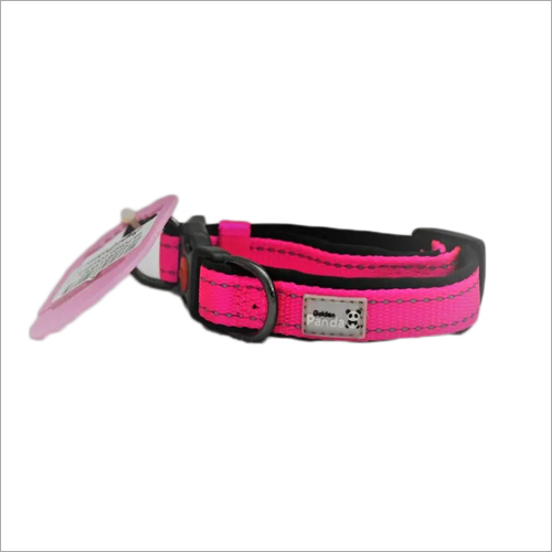 Golden Panda Xxl Collar Application: Dog