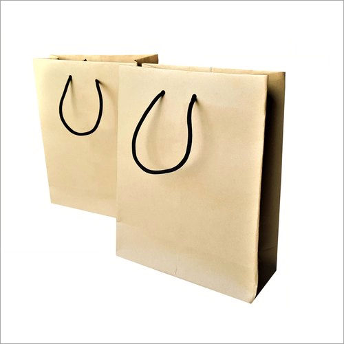 Multi Color Paper Plain Bags