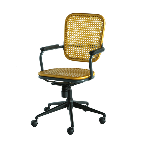 Focus Gold - Color: As Per Customer Choice