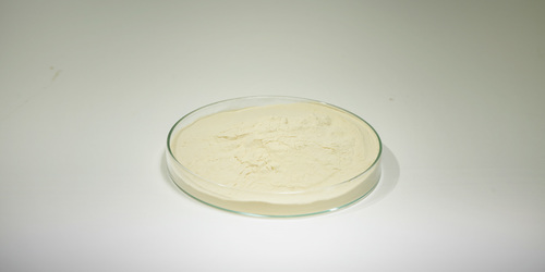 Fish Protein Hydrolysate Powder