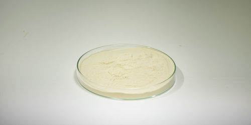 Fish Protein Hydrolysate Powder