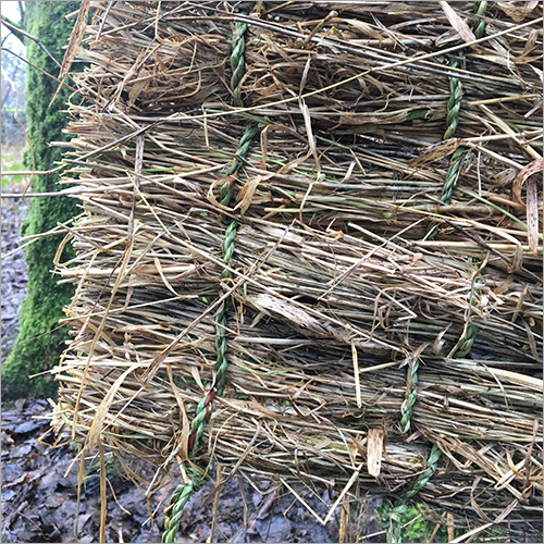 Dry Korai Grass