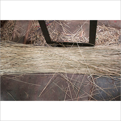 Korai Grass