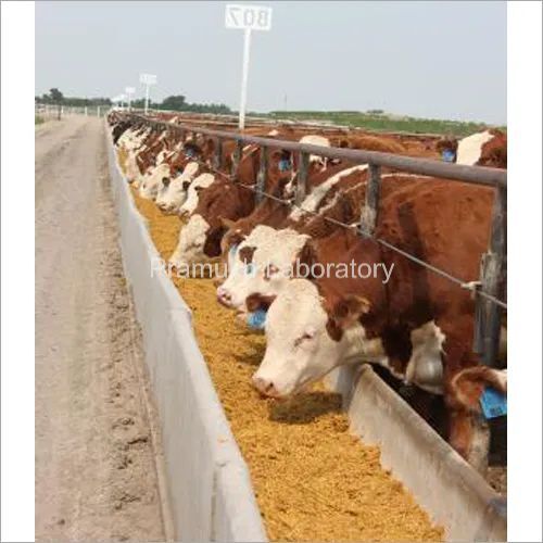 Cattle Feed Testing सेवाएं
