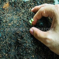 Fertilizer Testing Services