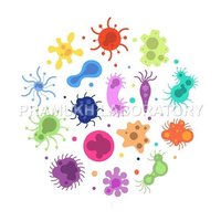 Enzymes Testing Services