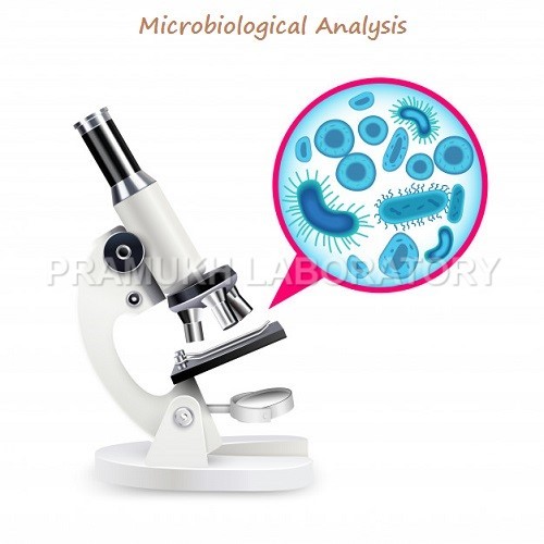 Microbiological Bacterial Testing Services