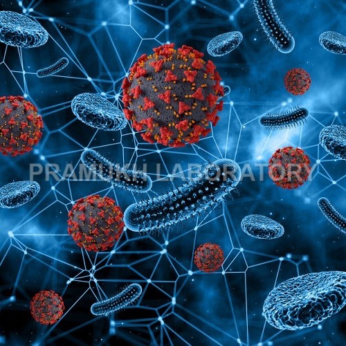 Microbiological Parameter Testing सेवाएं