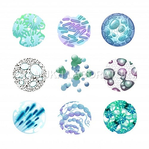 Antibacterial Activity On Materials Testing Services