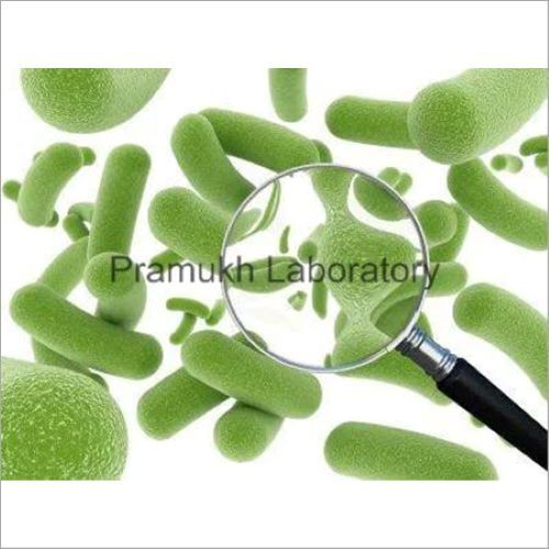 Microbiology Testing सेवाएं