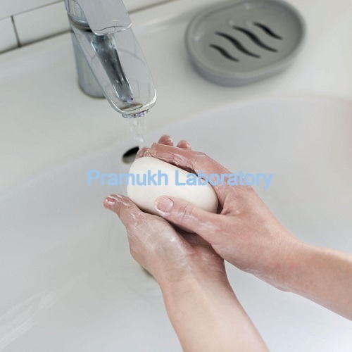 Washing Soap Testing Services
