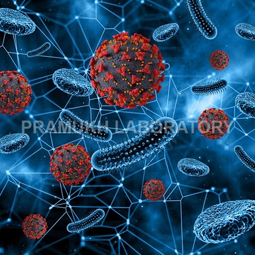 Virus Testing सेवाएं