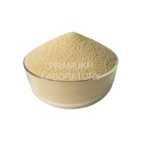 Protein Powder Testing Services