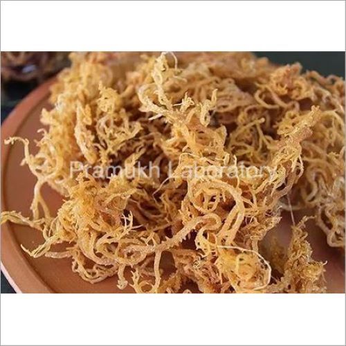 Food Grade Sea Weed Testing सेवाएं