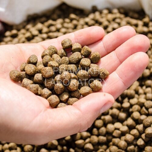 Herbal Seed Testing Services