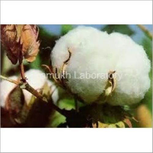 Cotton Fibre Testing Services