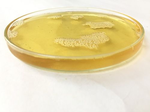 Alpha Olefin Sulfonate [AOS 40]