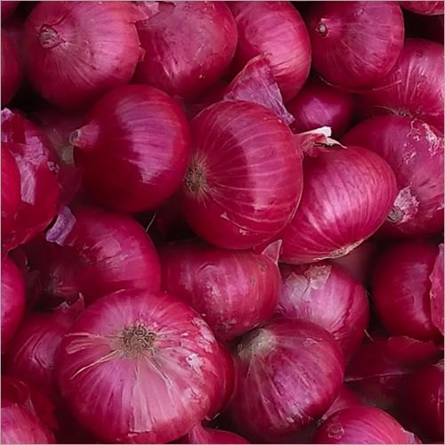 Onion Medium Quality(Medium) Preserving Compound: No