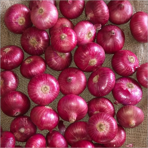 Onion Good Quality(Medium)