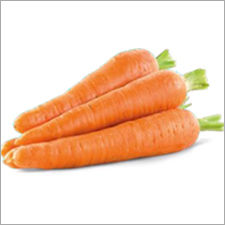 Orange Carrot