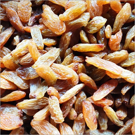 Long Raisin Sonaka