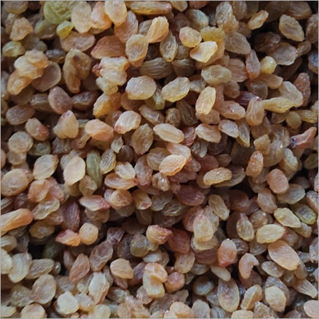 Small Raisin Manuka