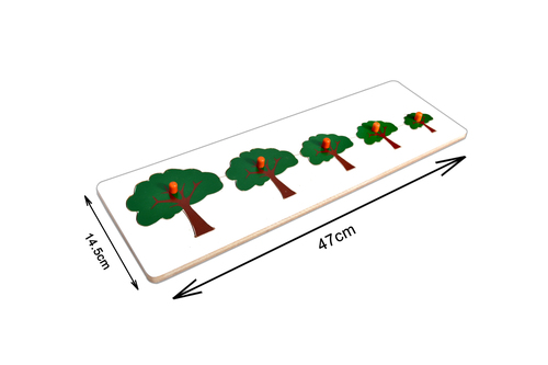 Kidken Montessori Size Variation Inset Board Tree / Seriation Board Puzzle / Wooden Size variation Puzzle