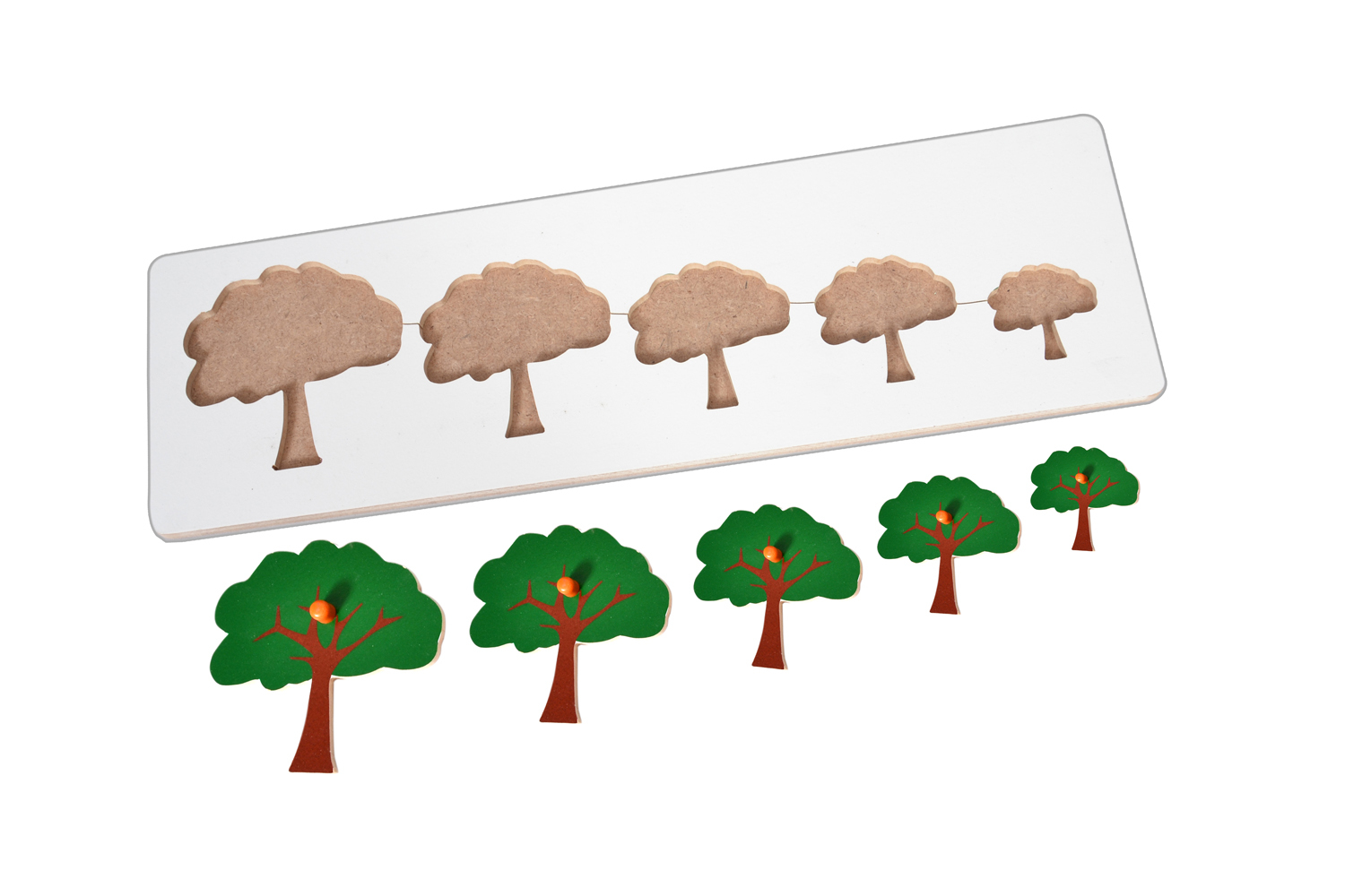 Kidken Montessori Size Variation Inset Board Tree / Seriation Board Puzzle / Wooden Size variation Puzzle